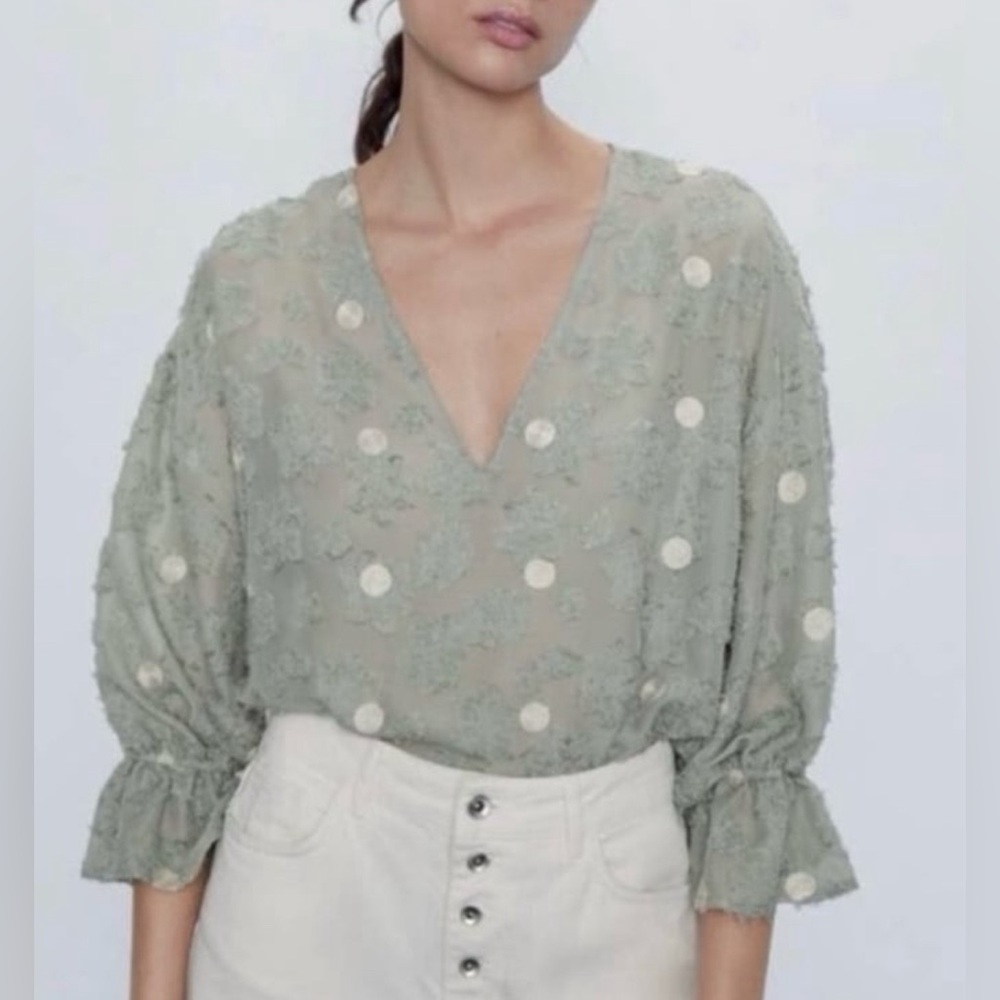 Zara sheer polka dot floral blouse